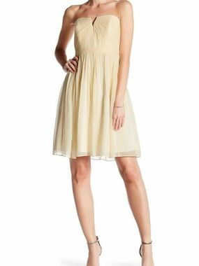 NWT JCrew Silk Chiffon Nadia Dress champagne cocktail party || SIZE 2